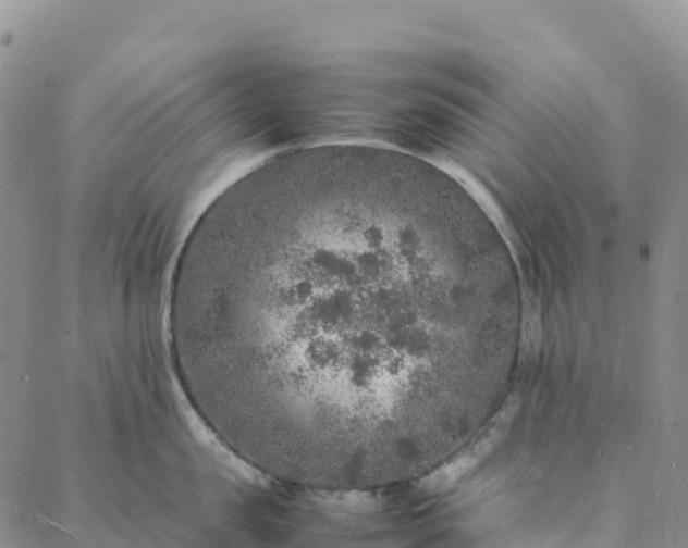 X0000088030957200705182022