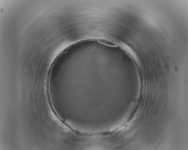 X0000088030958200705182022