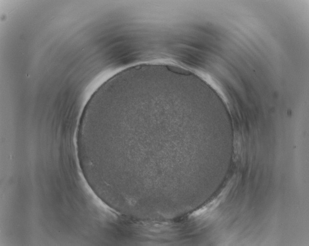 X0000088030959200705182022