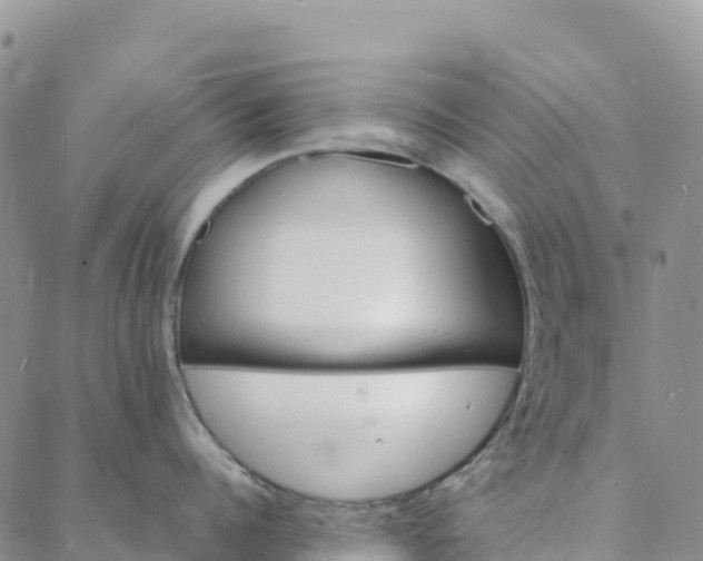 X0000088030960200705182022