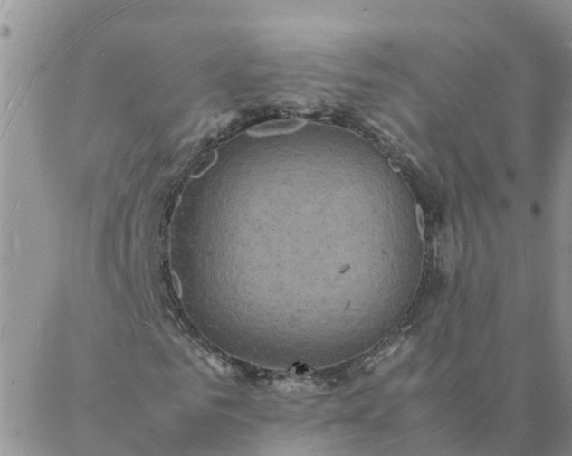 X0000088030961200705182021