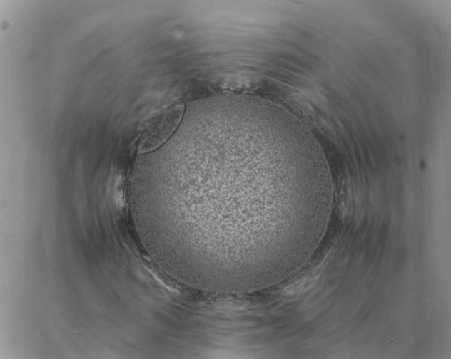 X0000088030962200705182021