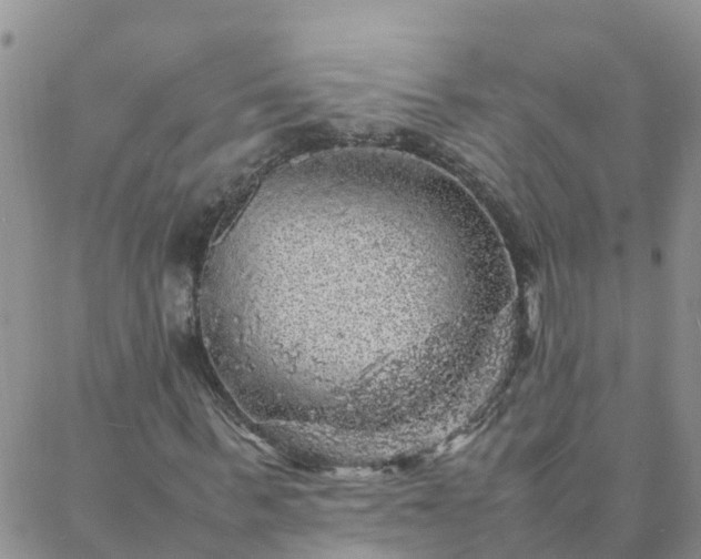 X0000088030963200705182021