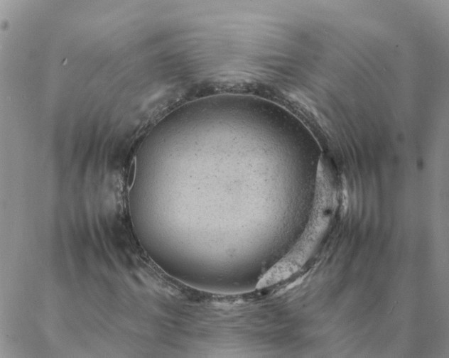 X0000088030964200705182021