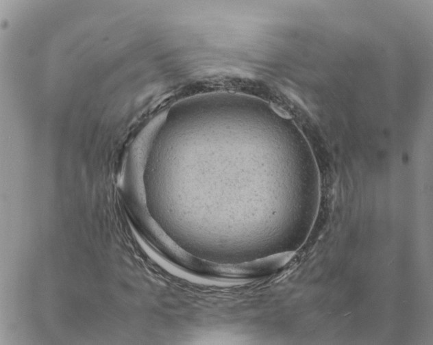 X0000088030965200705182021