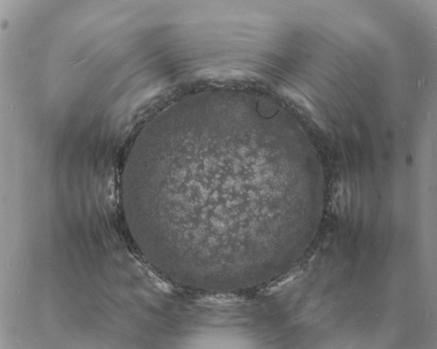 X0000088030966200705182021