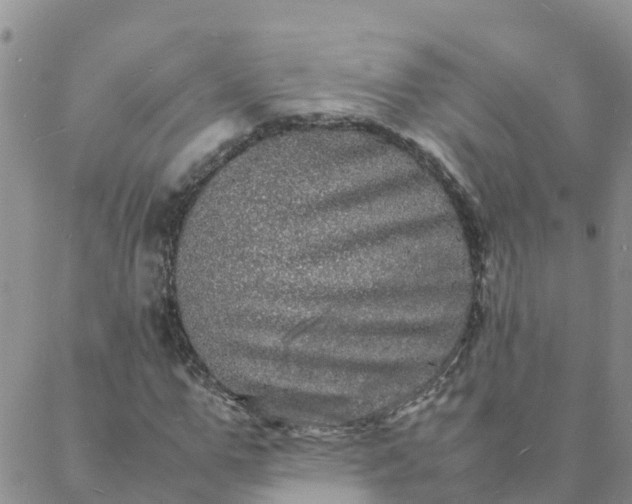 X0000088030967200705182021