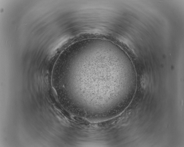 X0000088030968200705182021