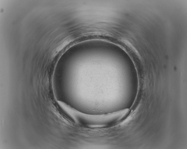 X0000088030969200705182021