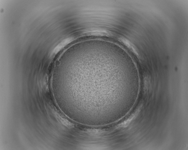 X0000088030970200705182021