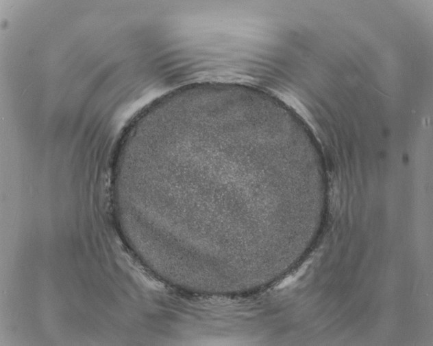 X0000088030971200705182021