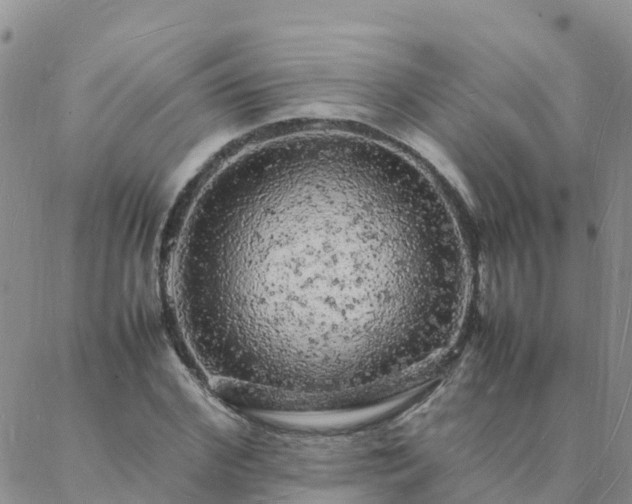 X0000088030972200705182021