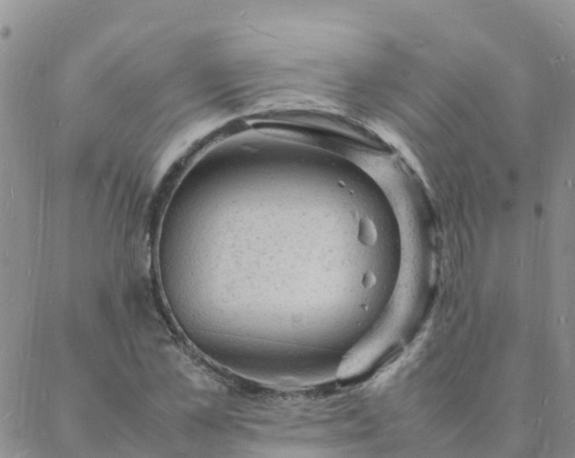 X0000088030973200705182021