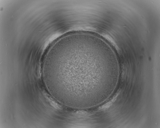 X0000088030974200705182021