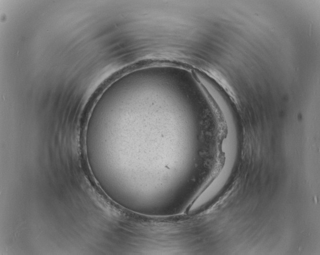 X0000088030976200705182021