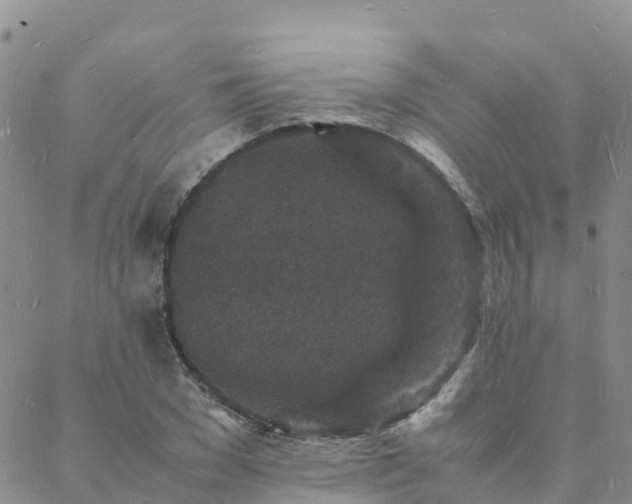 X0000088030977200705182021