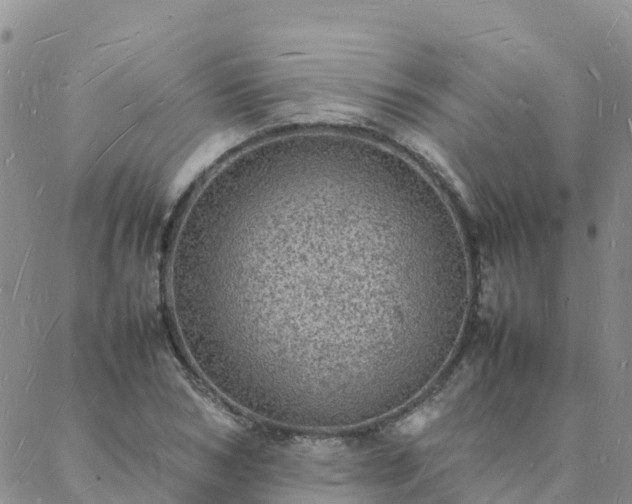 X0000088030978200705182021