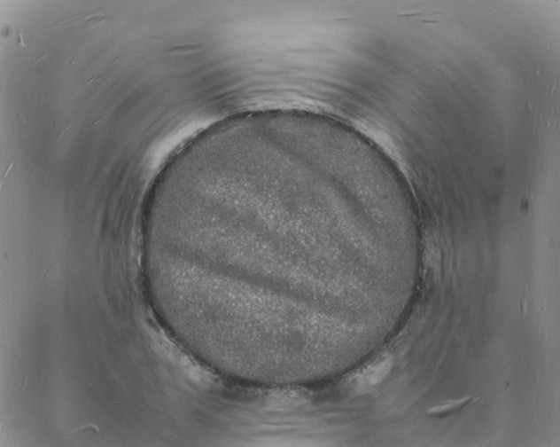 X0000088030979200705182021