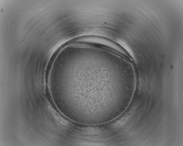 X0000088030980200705182021