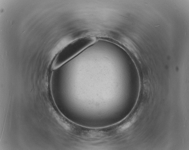 X0000088030981200705182021