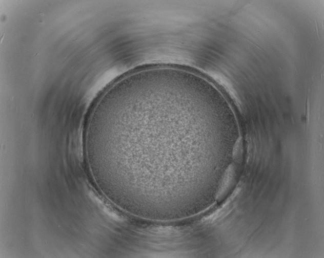 X0000088030982200705182021