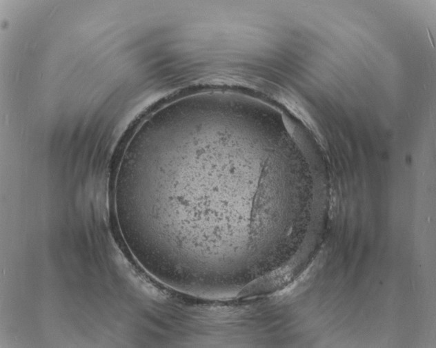 X0000088030984200705182021