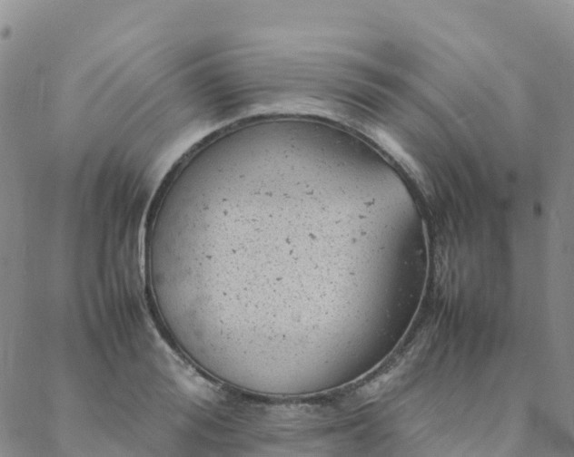 X0000088030988200705182021