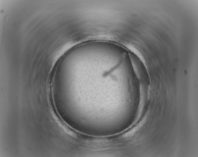 X0000088030989200705182021