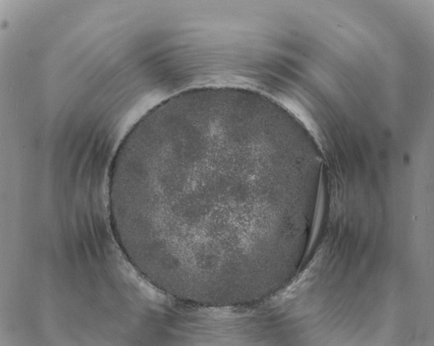 X0000088030990200705182021