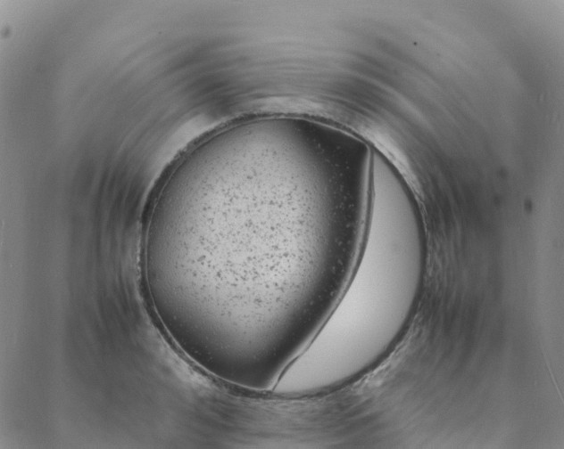 X0000088030992200705182021