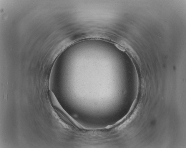 X0000088030993200705182021