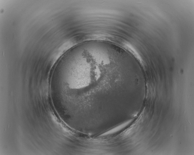 X0000088030994200705182021