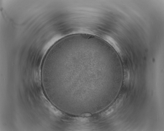 X0000088030996200705182021