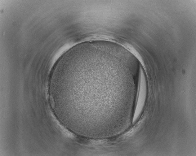 X0000088030997200705182021