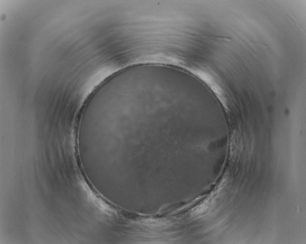 X0000088030998200705182021