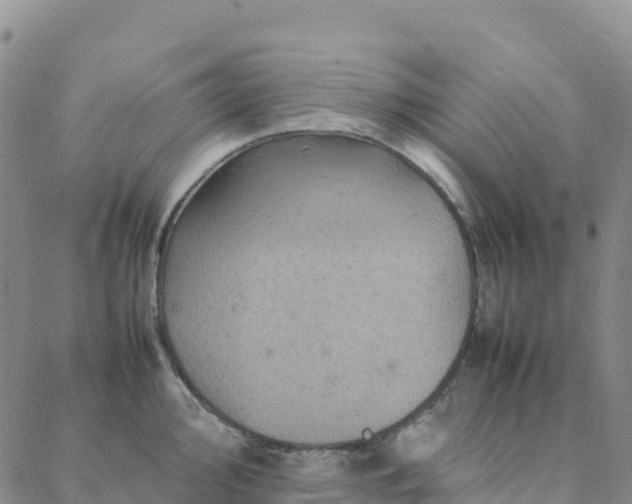 X0000088031000200705182021