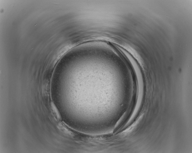 X0000088031001200705182021