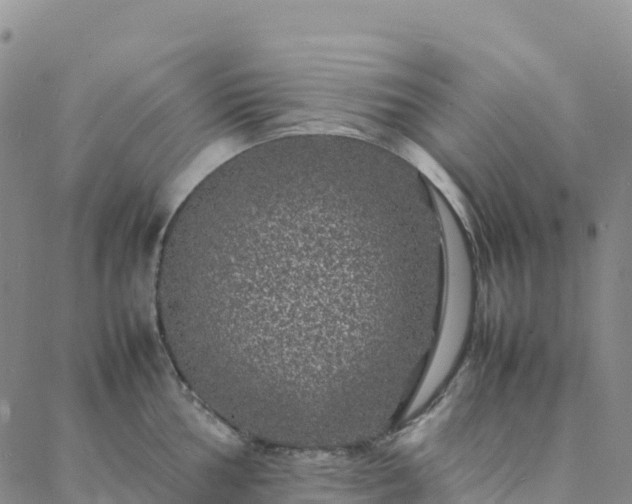 X0000088031002200705182021