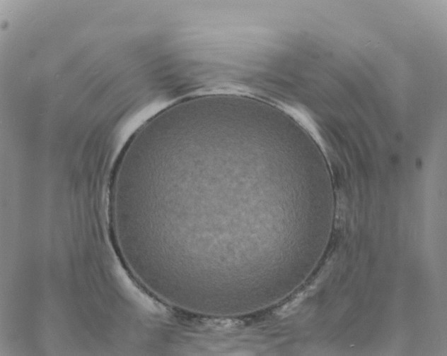 X0000088031003200705182021