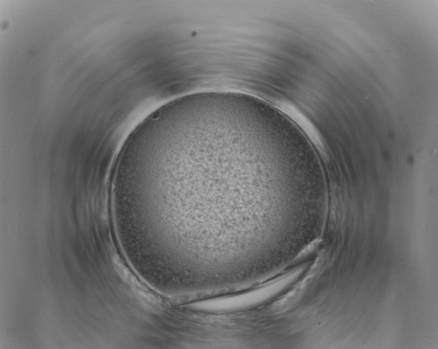 X0000088031004200705182021