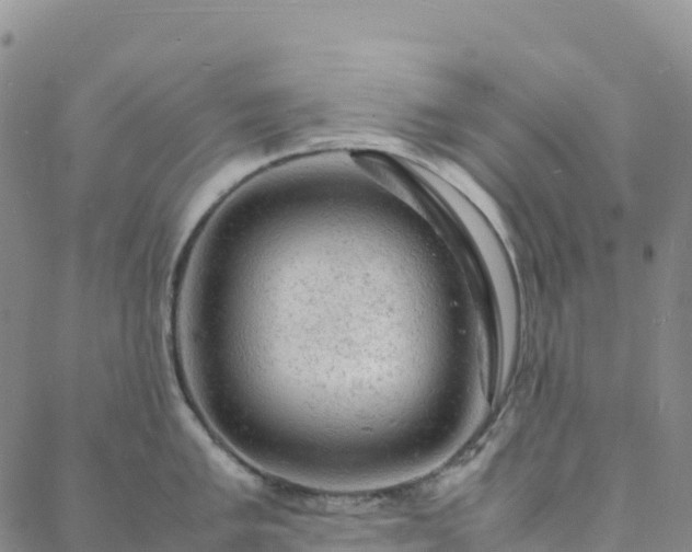 X0000088031005200705182021