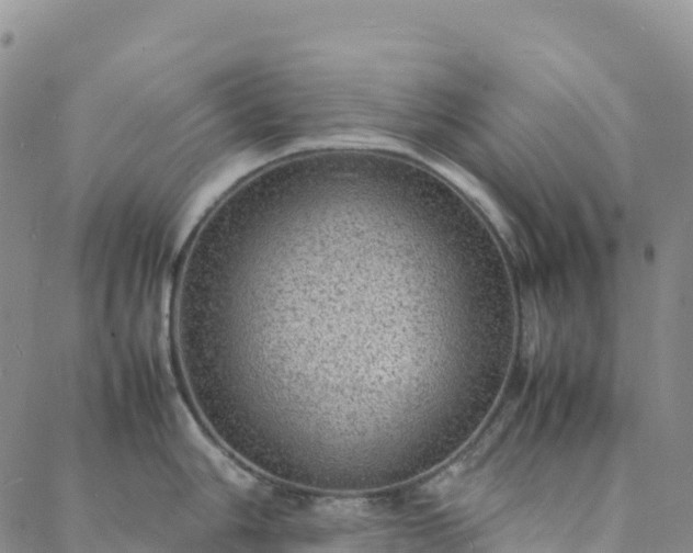 X0000088031006200705182021