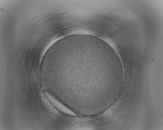 X0000088031008200705182021