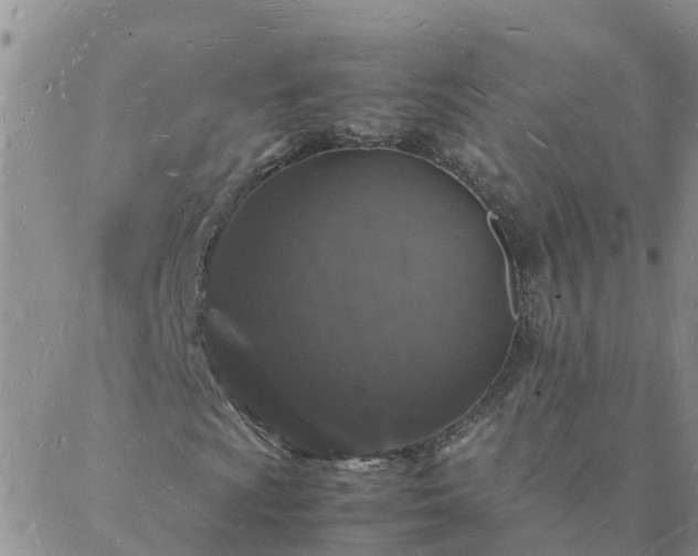 X0000088031009200705182020