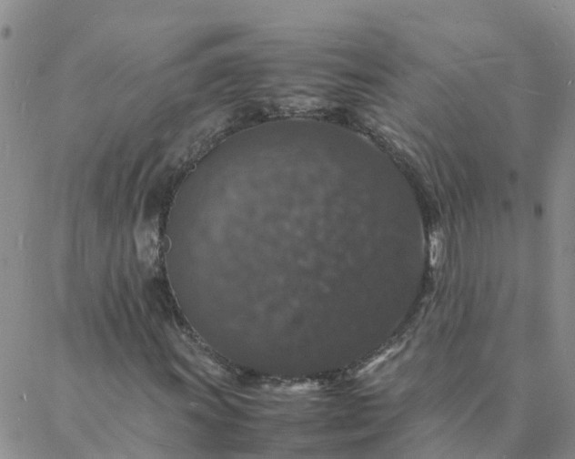 X0000088031011200705182020