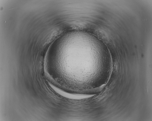 X0000088031012200705182020