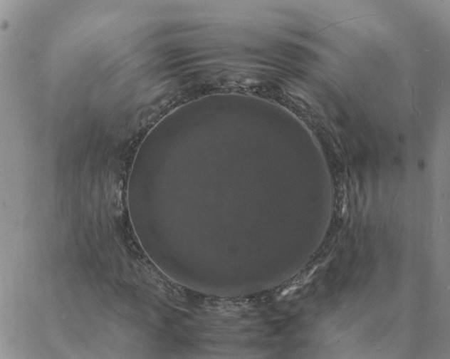 X0000088031013200705182020