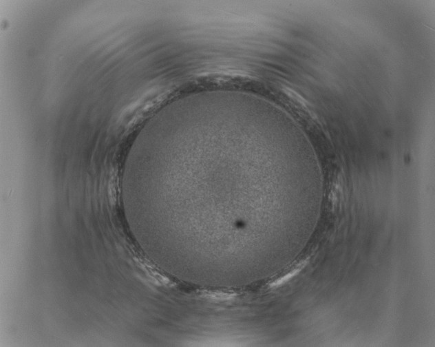 X0000088031014200705182020