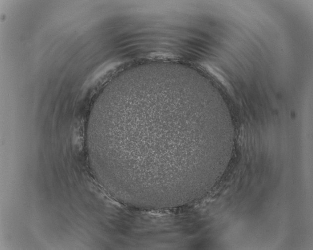 X0000088031015200705182020