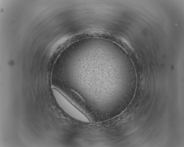 X0000088031016200705182020